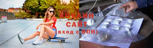 соль ск Богданович