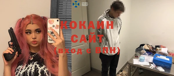 винт Анива