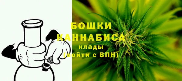 соль ск Богданович