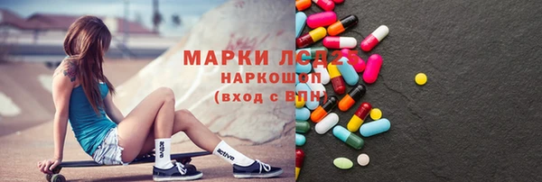 шишки Беломорск